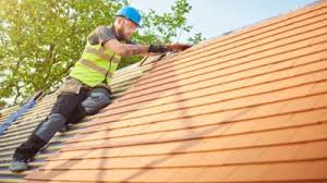 Best Rubber Roofing (EPDM, TPO)  in Robins, IA