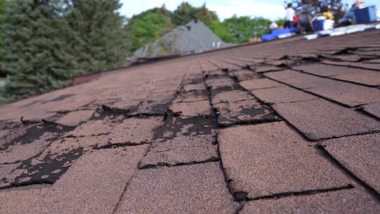 Best Roof Coating and Sealing  in Robins, IA