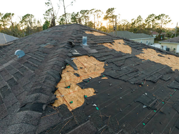 Best Tile Roofing Installation  in Robins, IA